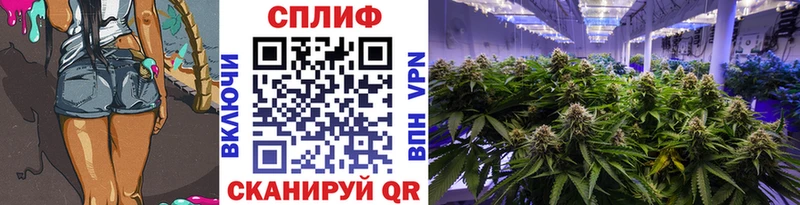 Купить закладку Псилоцибиновые грибы  APVP  МЕФ  Cocaine  Канабис  Краснослободск
