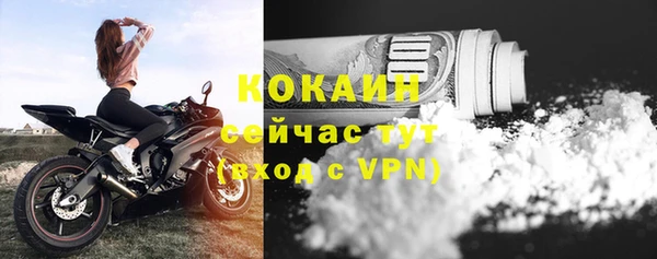 амф Инсар