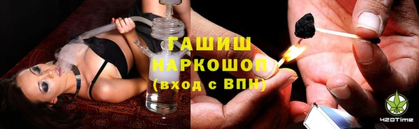 стафф Иннополис