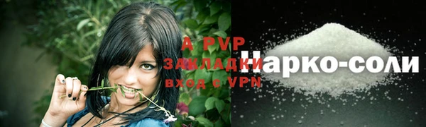 амф Инсар