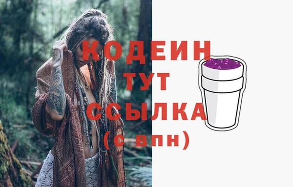 стафф Иннополис