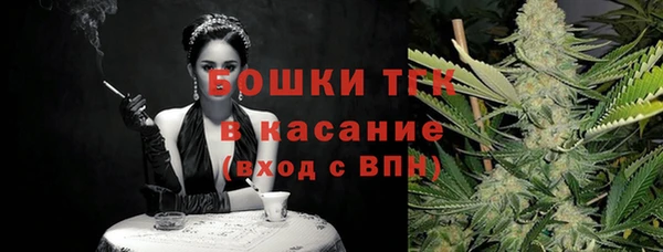 стафф Иннополис